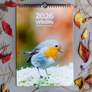 Calendar 2027