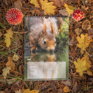 Wildlife Kalender 2027 - Afbeelding 5