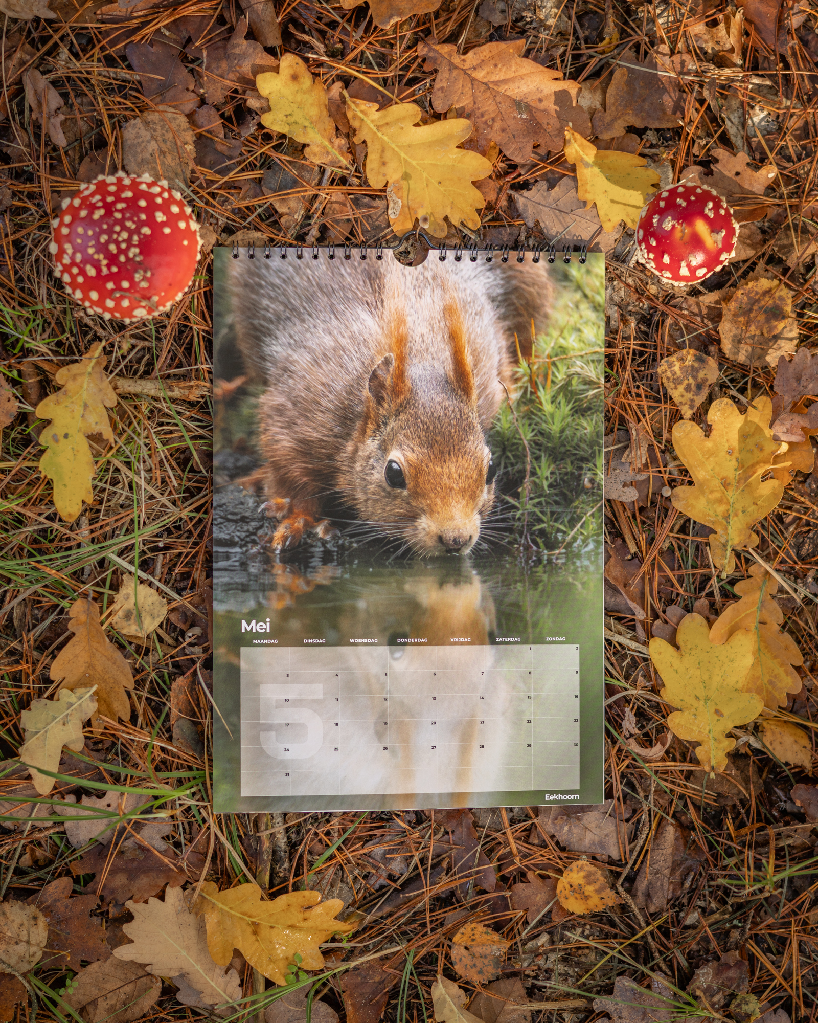 Wildlife Kalender 2027 - Afbeelding 5