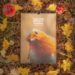 Wildlife Kalender 2027