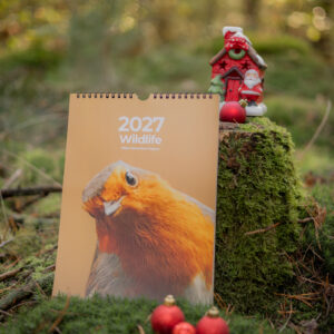 Wildlife Kalender 2027 - Afbeelding 3