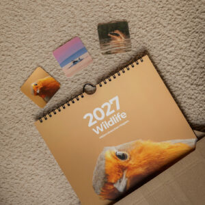 Wildlife Kalender 2027 - Afbeelding 4