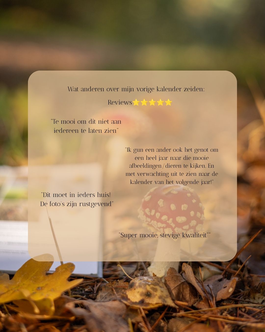 Wildlife Kalender 2027 - Afbeelding 2